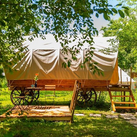Dragonfly Gardens - The Wagons Hotel Braşov Exterior foto