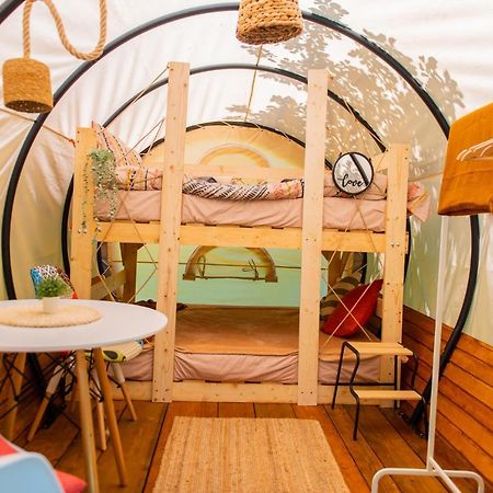 Dragonfly Gardens - The Wagons Hotel Braşov Exterior foto