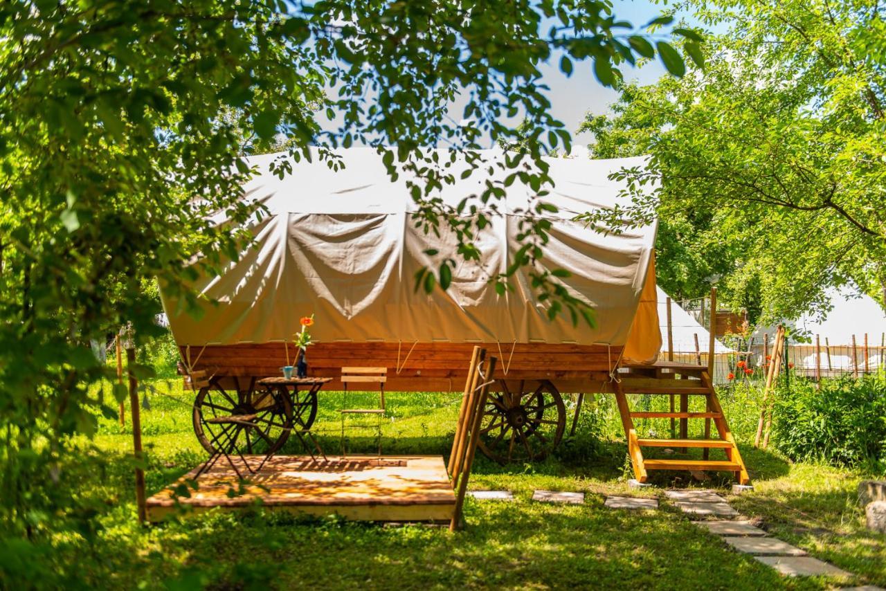 Dragonfly Gardens - The Wagons Hotel Braşov Exterior foto