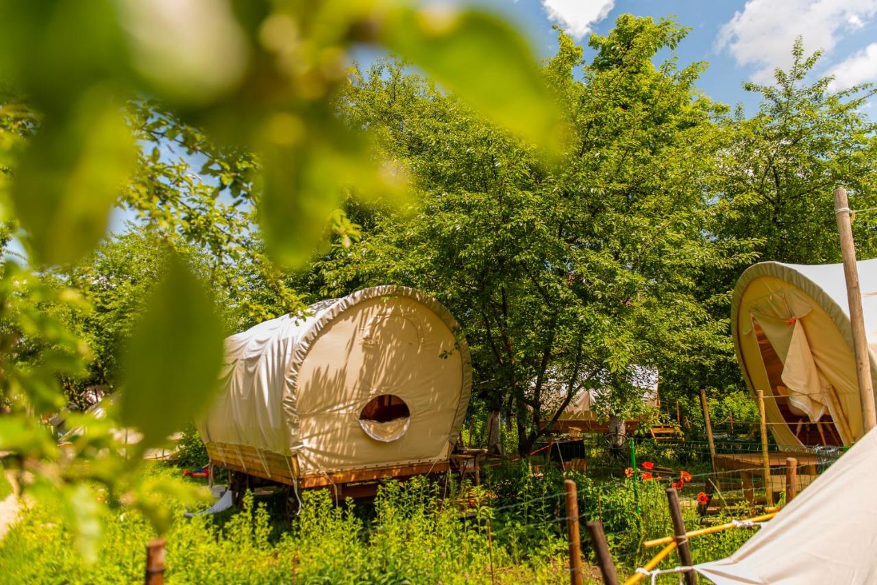 Dragonfly Gardens - The Wagons Hotel Braşov Exterior foto