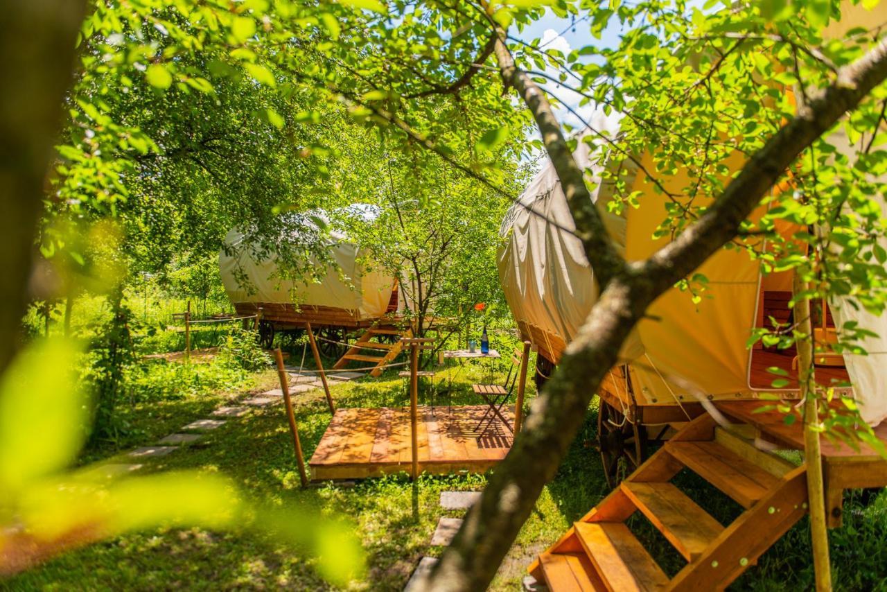 Dragonfly Gardens - The Wagons Hotel Braşov Exterior foto