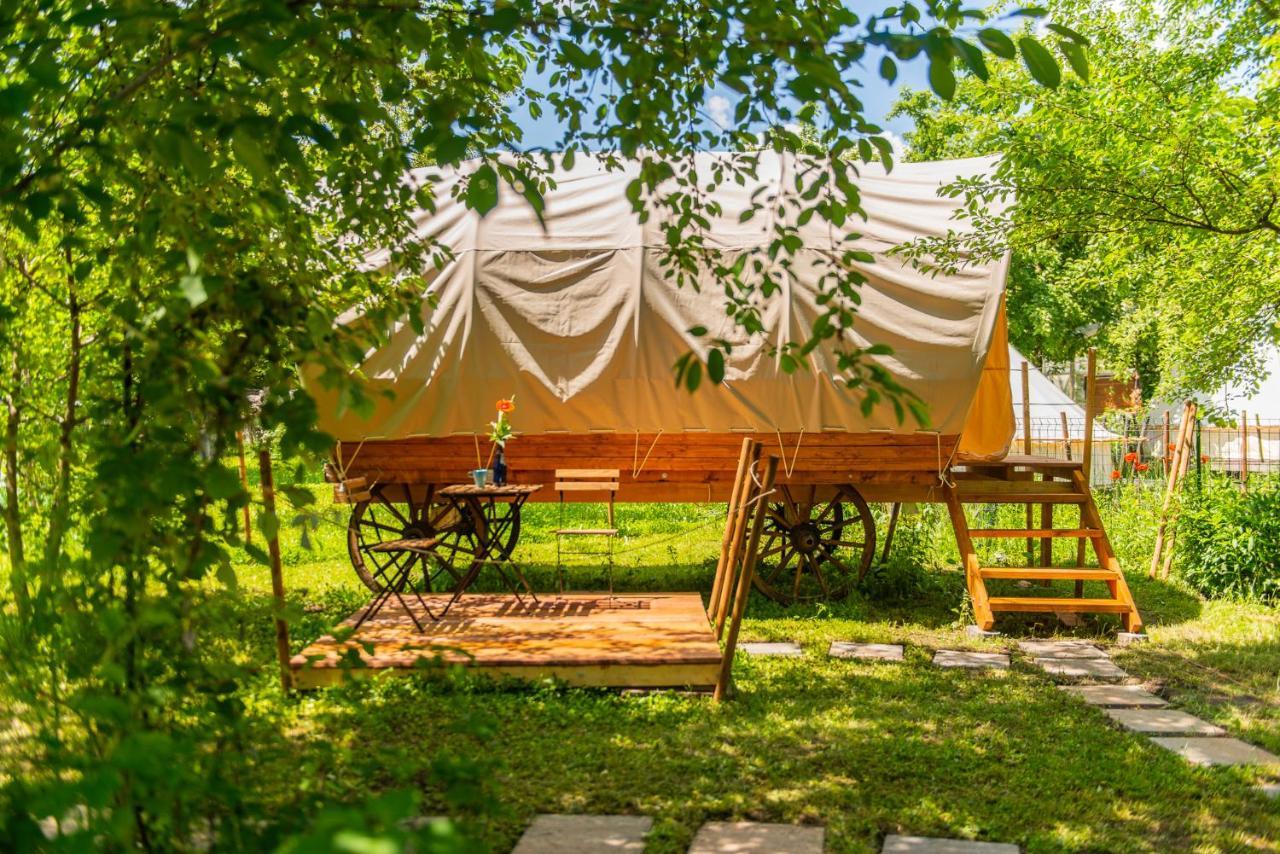 Dragonfly Gardens - The Wagons Hotel Braşov Exterior foto