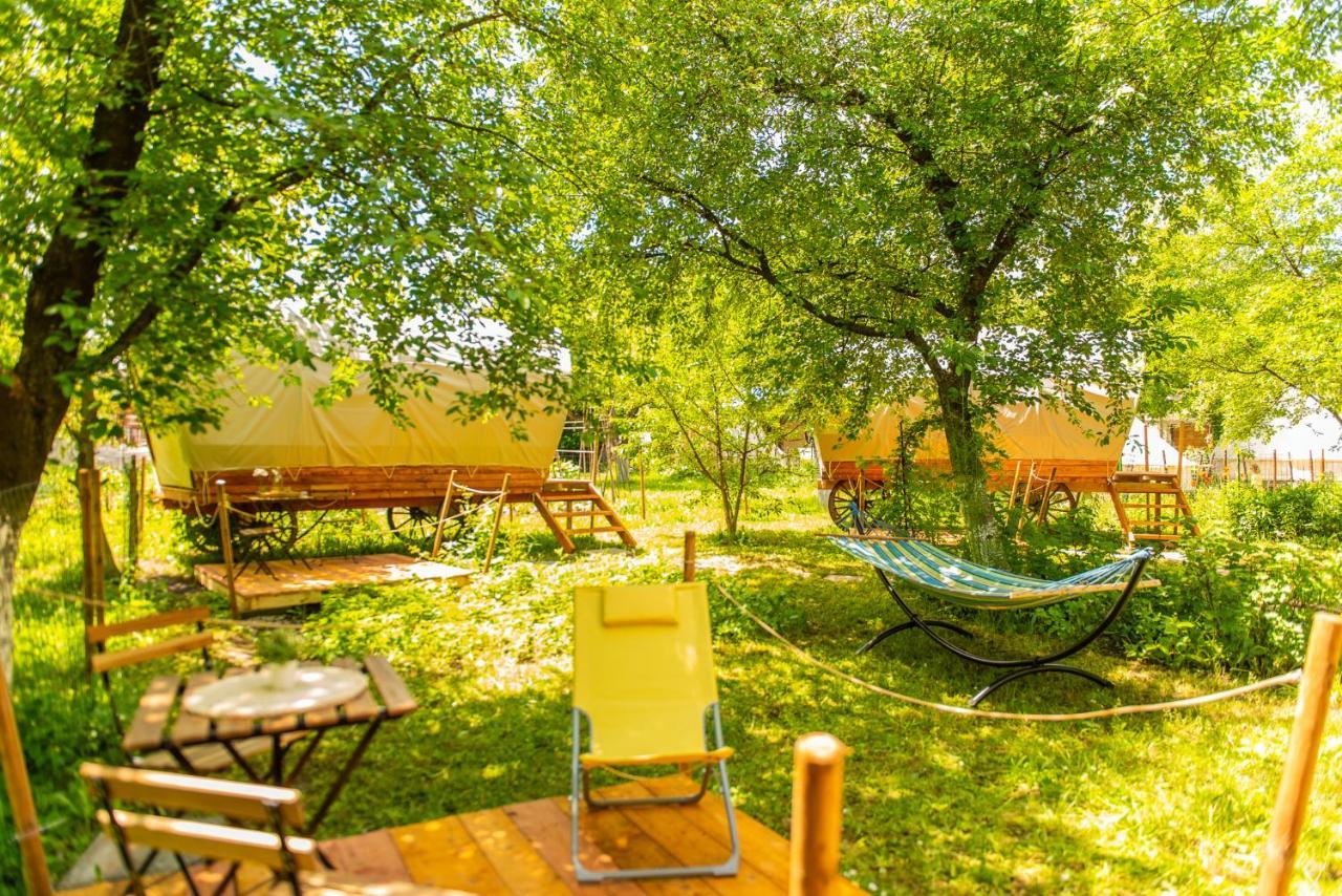 Dragonfly Gardens - The Wagons Hotel Braşov Exterior foto