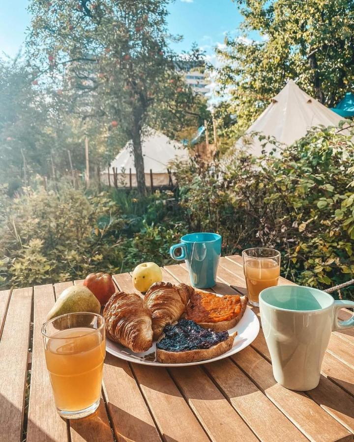 Dragonfly Gardens - The Wagons Hotel Braşov Exterior foto