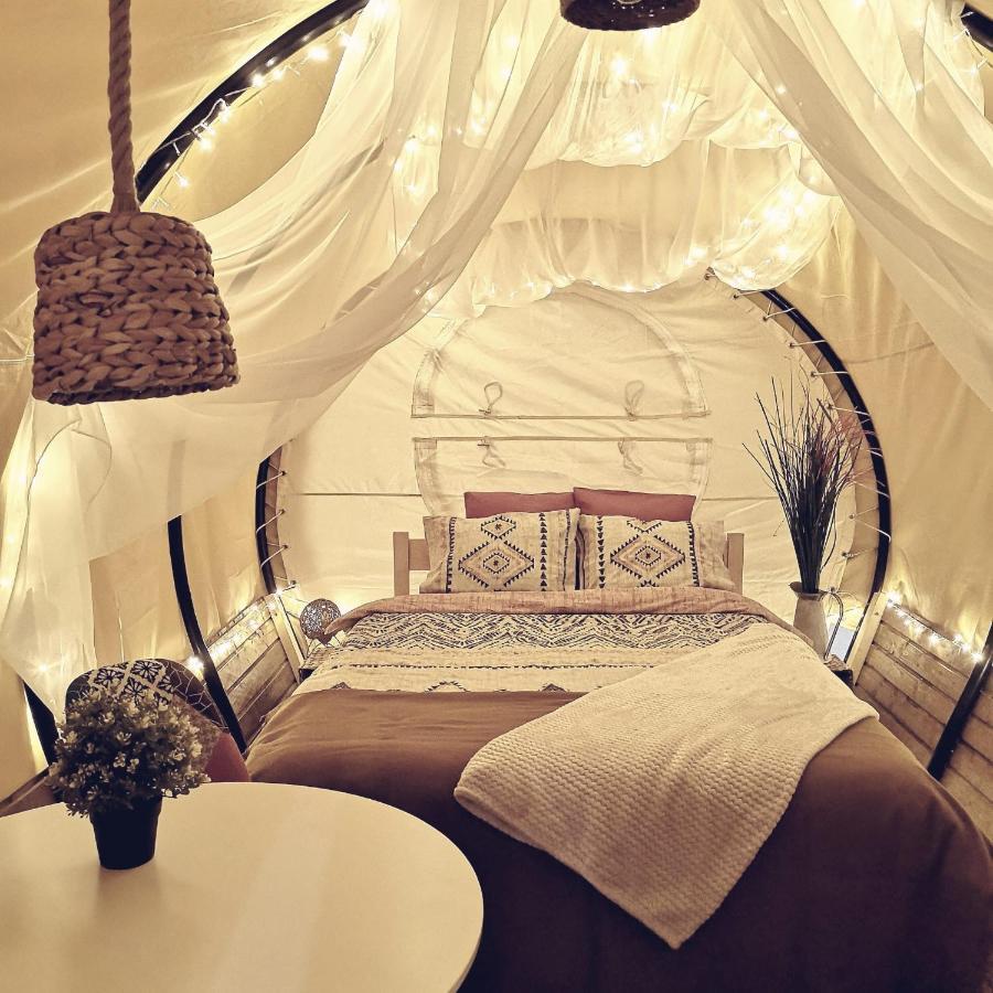 Dragonfly Gardens - The Wagons Hotel Braşov Exterior foto