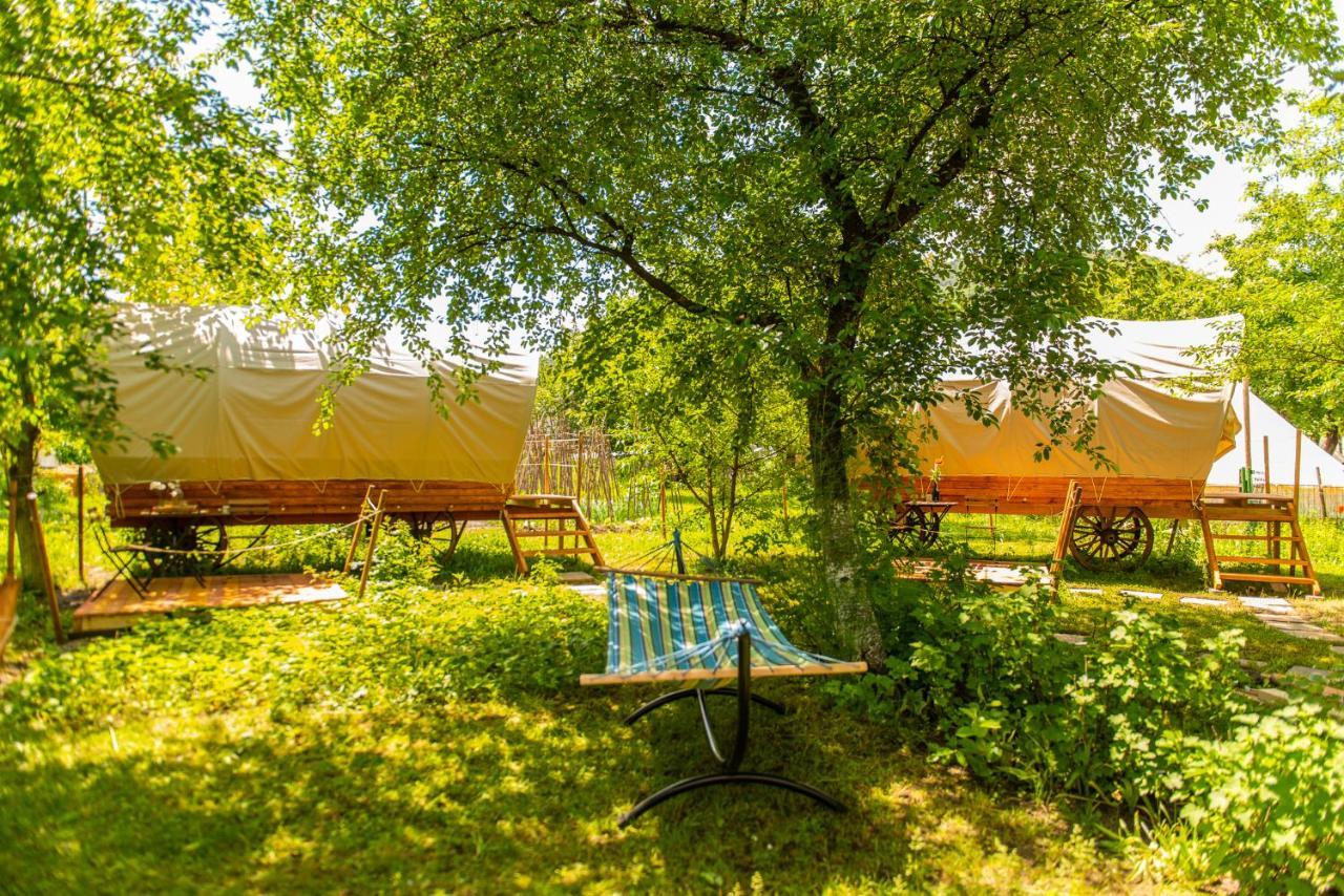 Dragonfly Gardens - The Wagons Hotel Braşov Exterior foto
