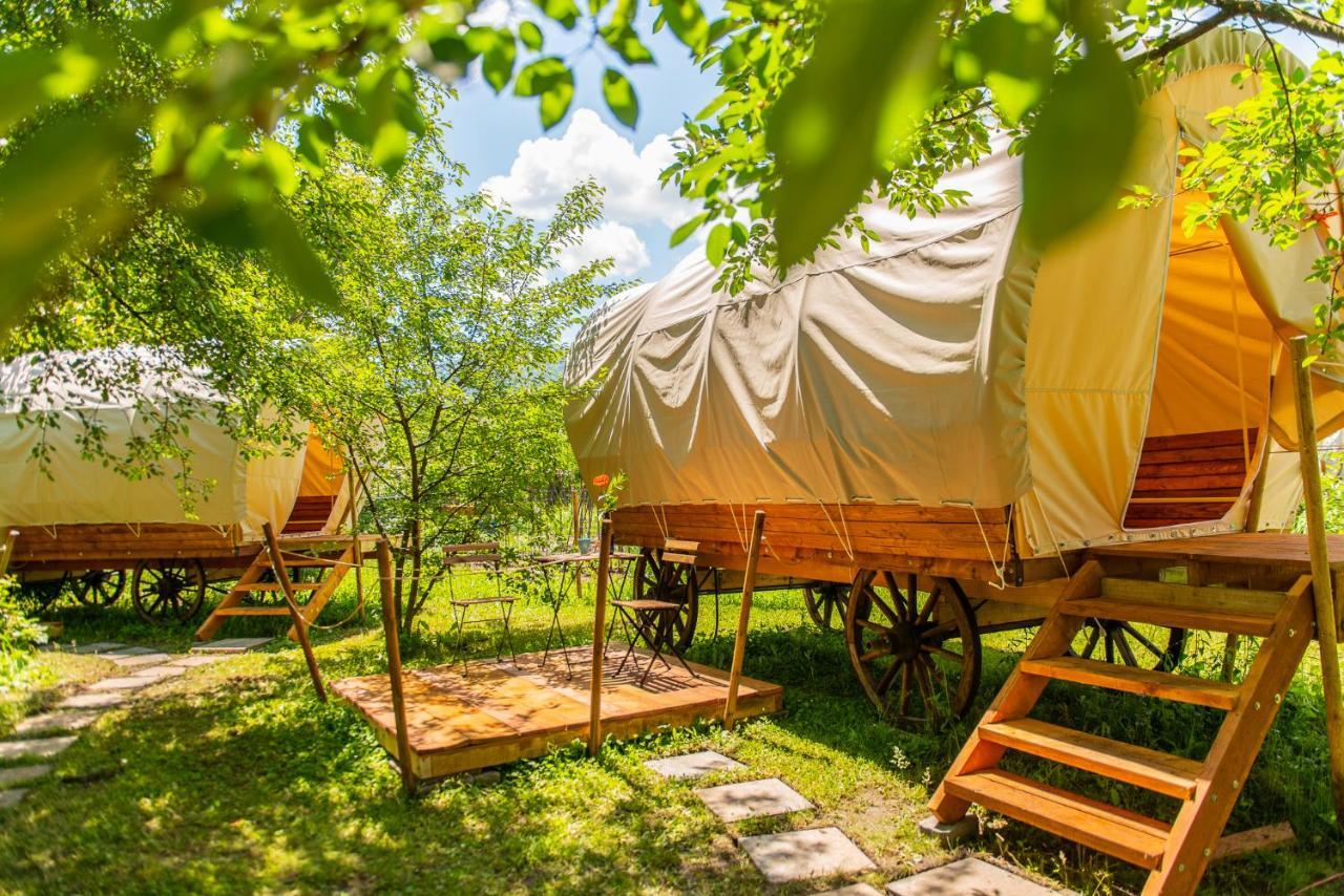 Dragonfly Gardens - The Wagons Hotel Braşov Exterior foto