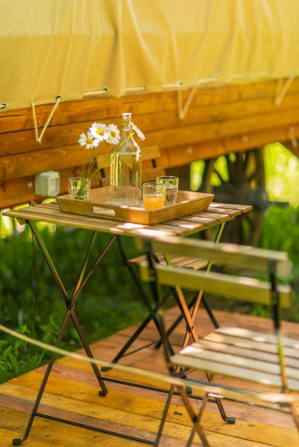 Dragonfly Gardens - The Wagons Hotel Braşov Exterior foto