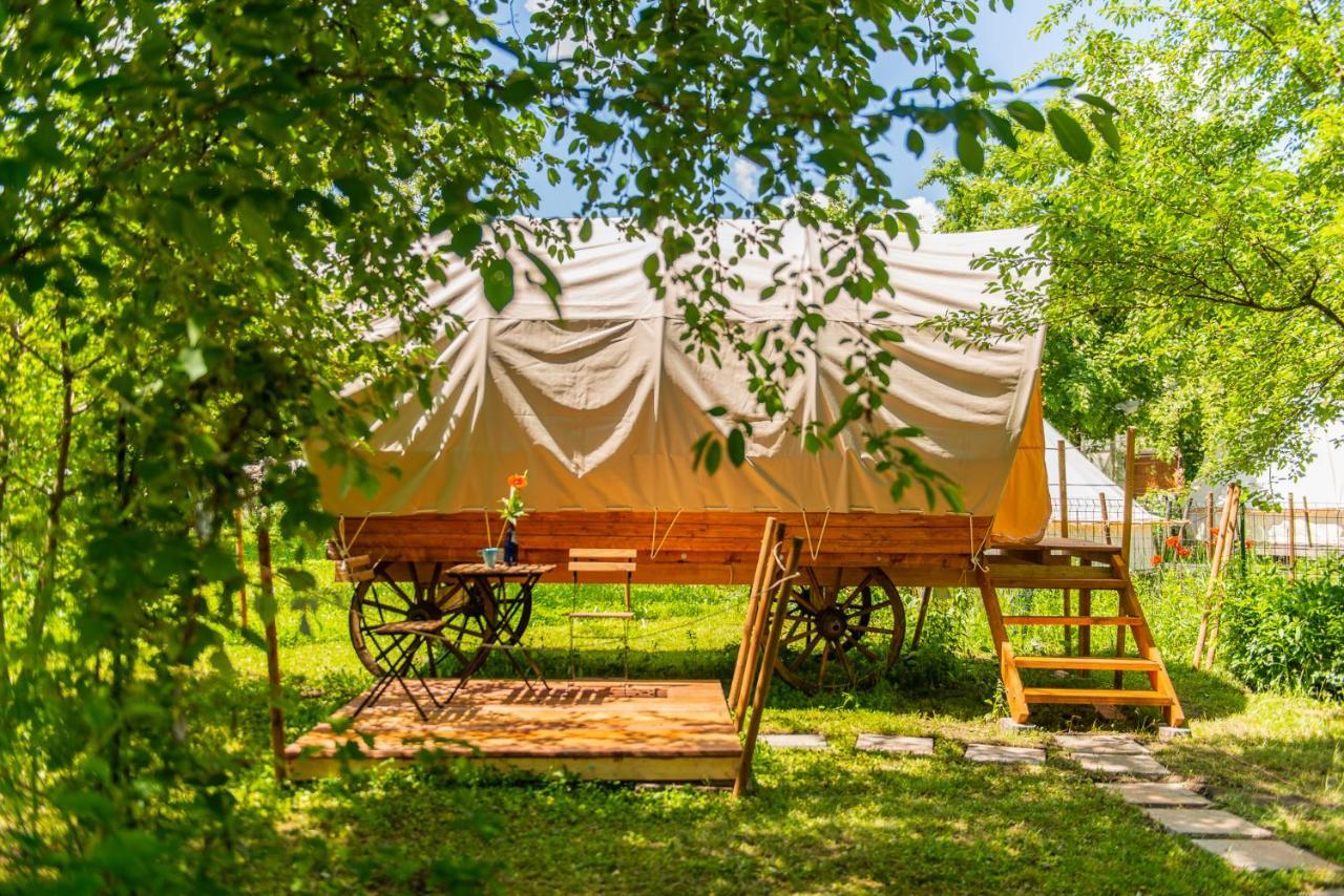 Dragonfly Gardens - The Wagons Hotel Braşov Exterior foto