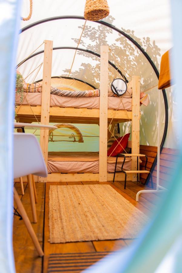 Dragonfly Gardens - The Wagons Hotel Braşov Exterior foto