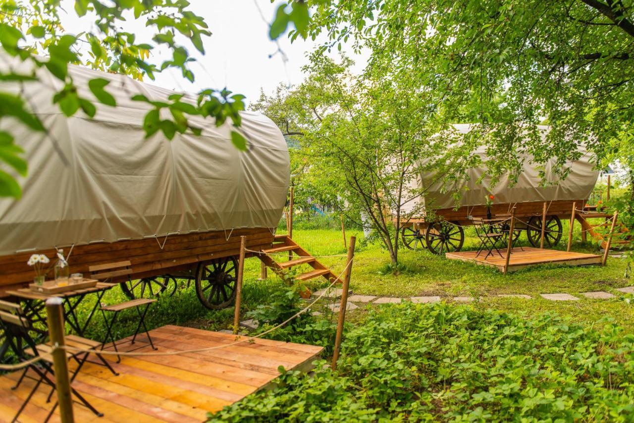 Dragonfly Gardens - The Wagons Hotel Braşov Exterior foto