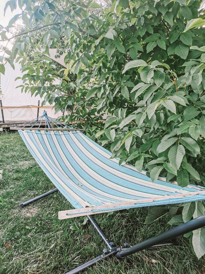 Dragonfly Gardens - The Wagons Hotel Braşov Exterior foto