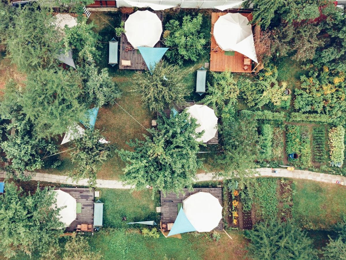 Dragonfly Gardens - The Wagons Hotel Braşov Exterior foto