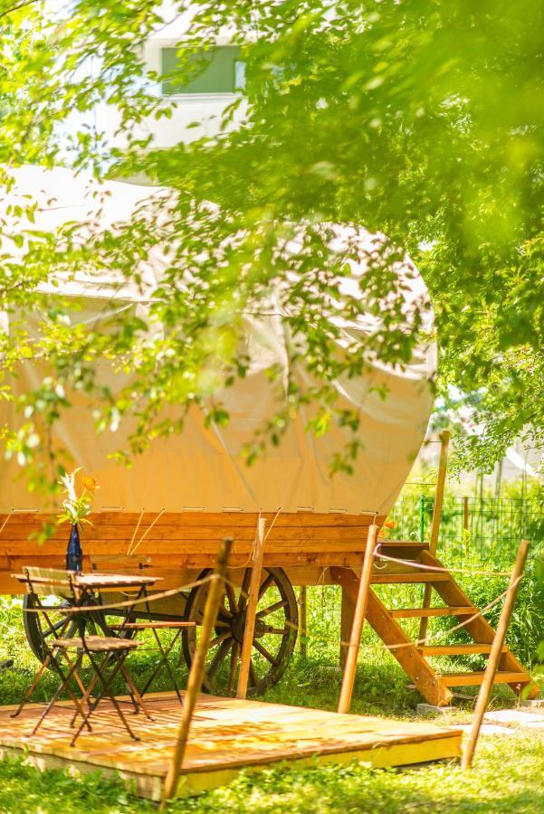Dragonfly Gardens - The Wagons Hotel Braşov Exterior foto