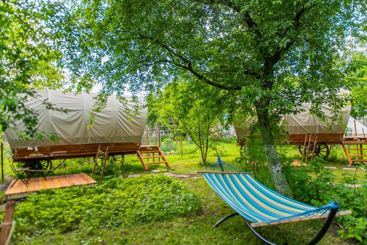Dragonfly Gardens - The Wagons Hotel Braşov Exterior foto