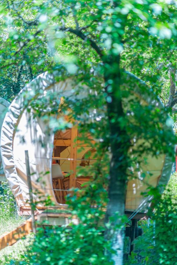 Dragonfly Gardens - The Wagons Hotel Braşov Exterior foto