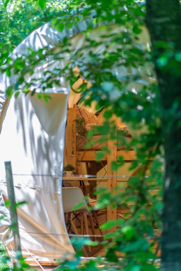 Dragonfly Gardens - The Wagons Hotel Braşov Exterior foto