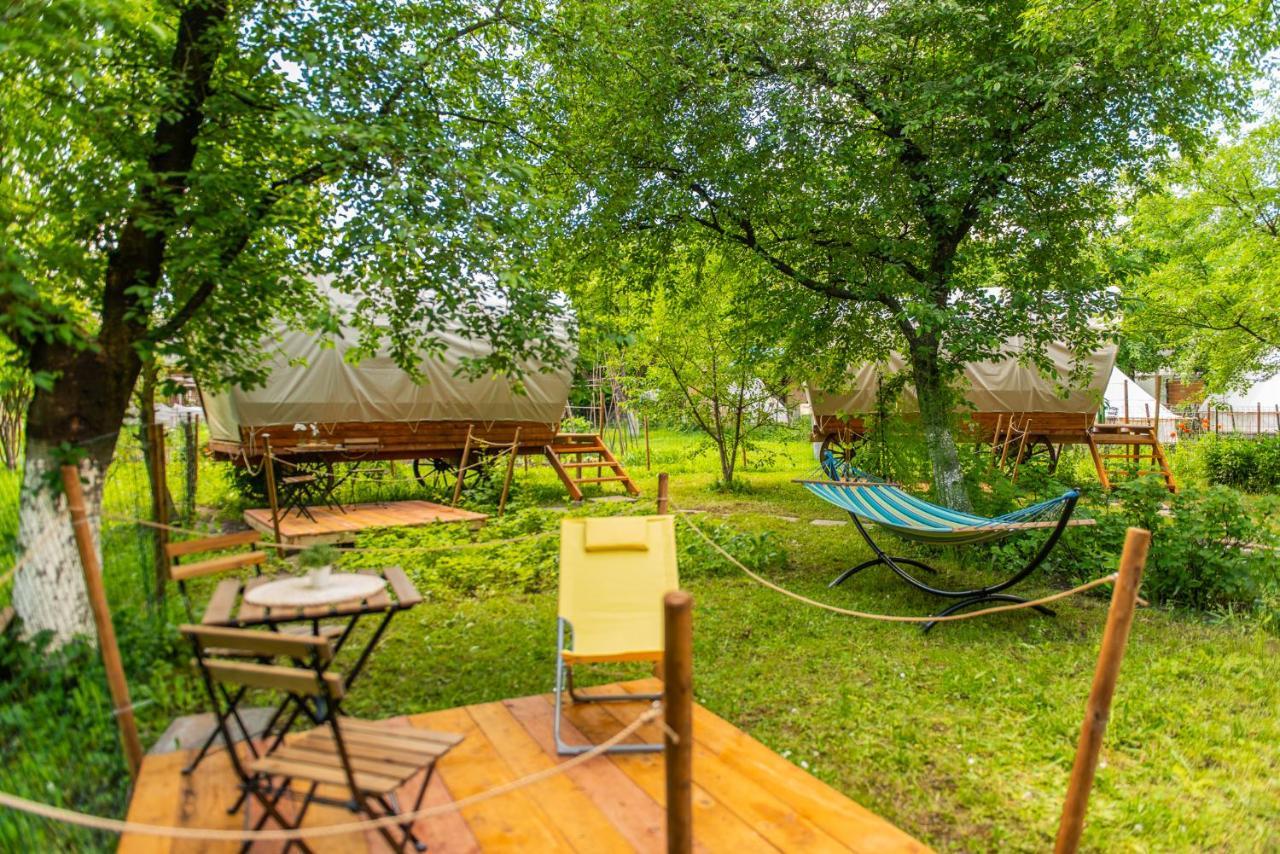 Dragonfly Gardens - The Wagons Hotel Braşov Exterior foto