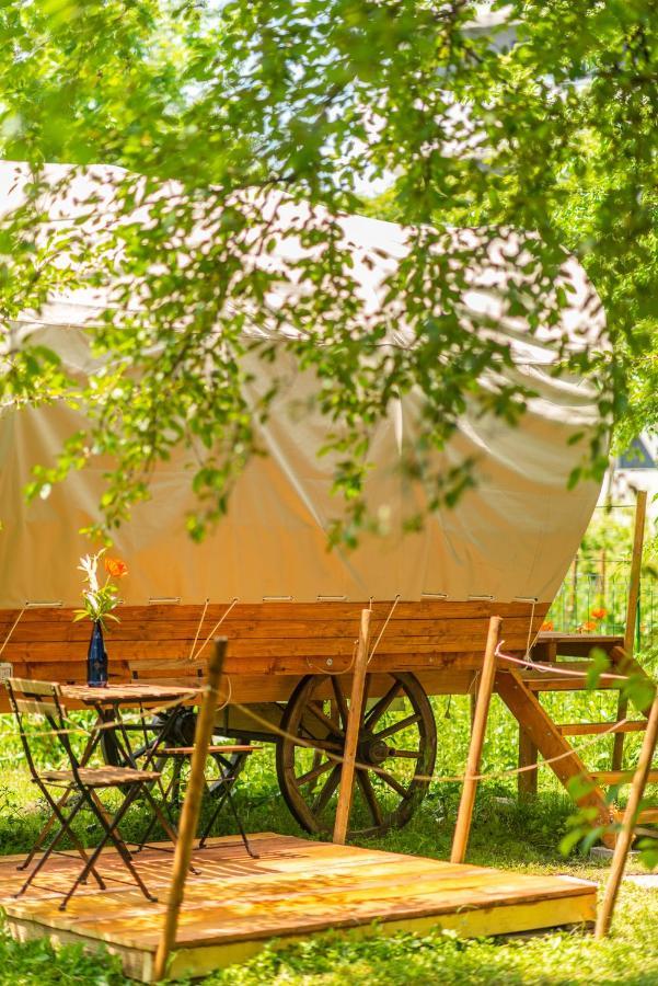 Dragonfly Gardens - The Wagons Hotel Braşov Exterior foto
