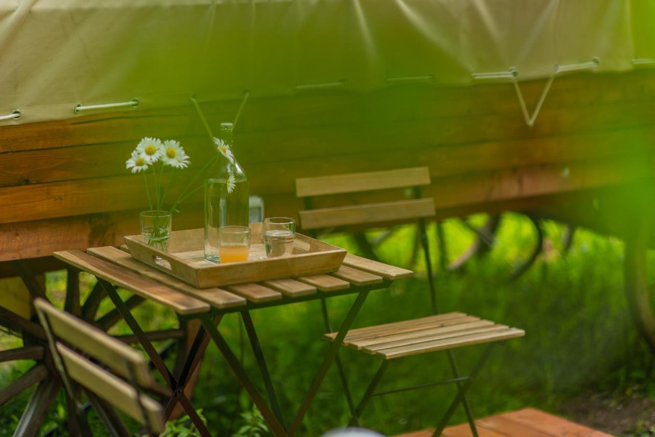 Dragonfly Gardens - The Wagons Hotel Braşov Exterior foto
