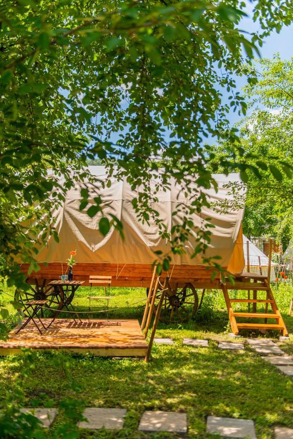 Dragonfly Gardens - The Wagons Hotel Braşov Exterior foto