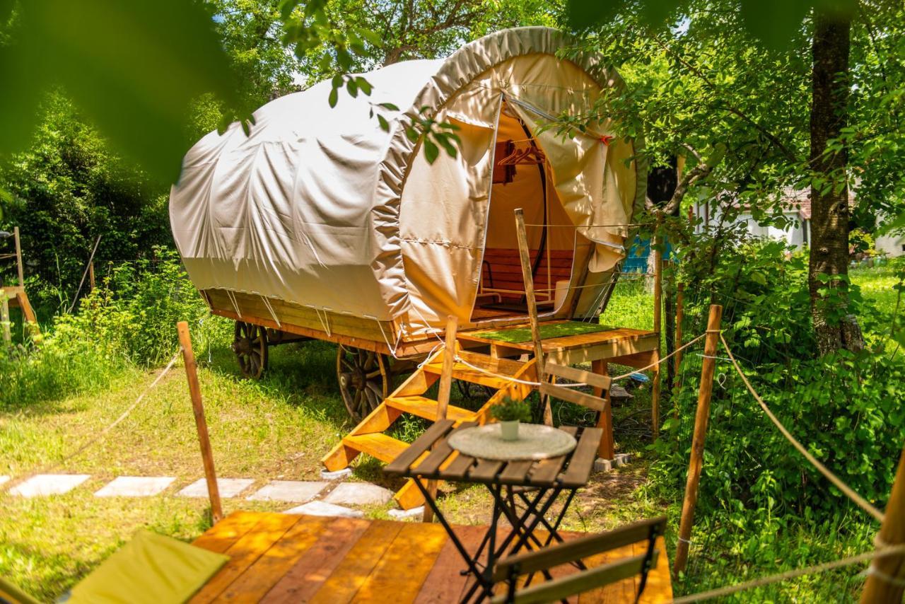 Dragonfly Gardens - The Wagons Hotel Braşov Exterior foto