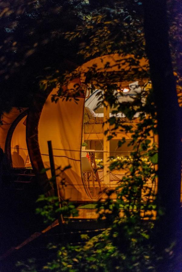 Dragonfly Gardens - The Wagons Hotel Braşov Exterior foto