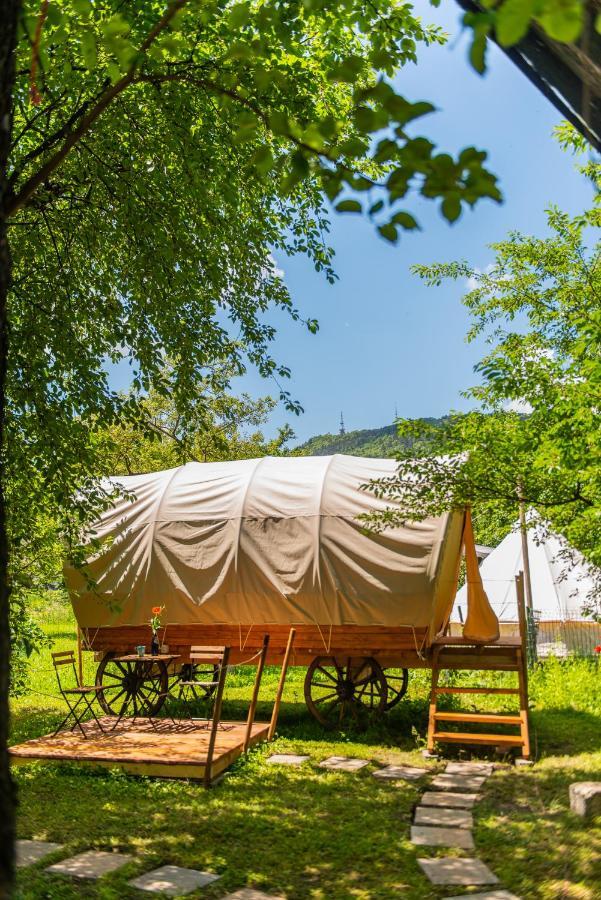 Dragonfly Gardens - The Wagons Hotel Braşov Exterior foto
