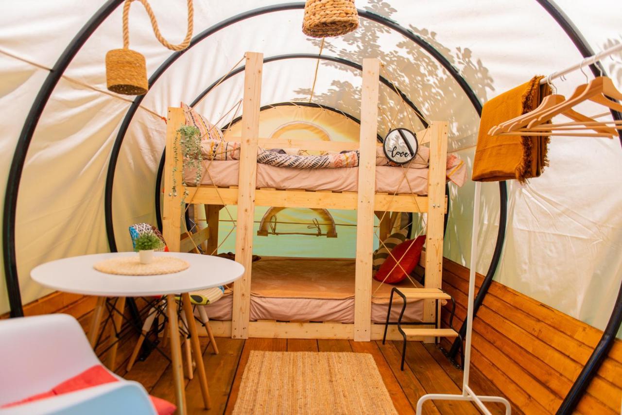 Dragonfly Gardens - The Wagons Hotel Braşov Exterior foto