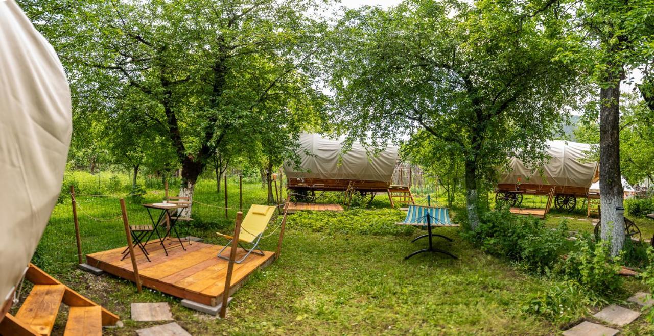 Dragonfly Gardens - The Wagons Hotel Braşov Exterior foto